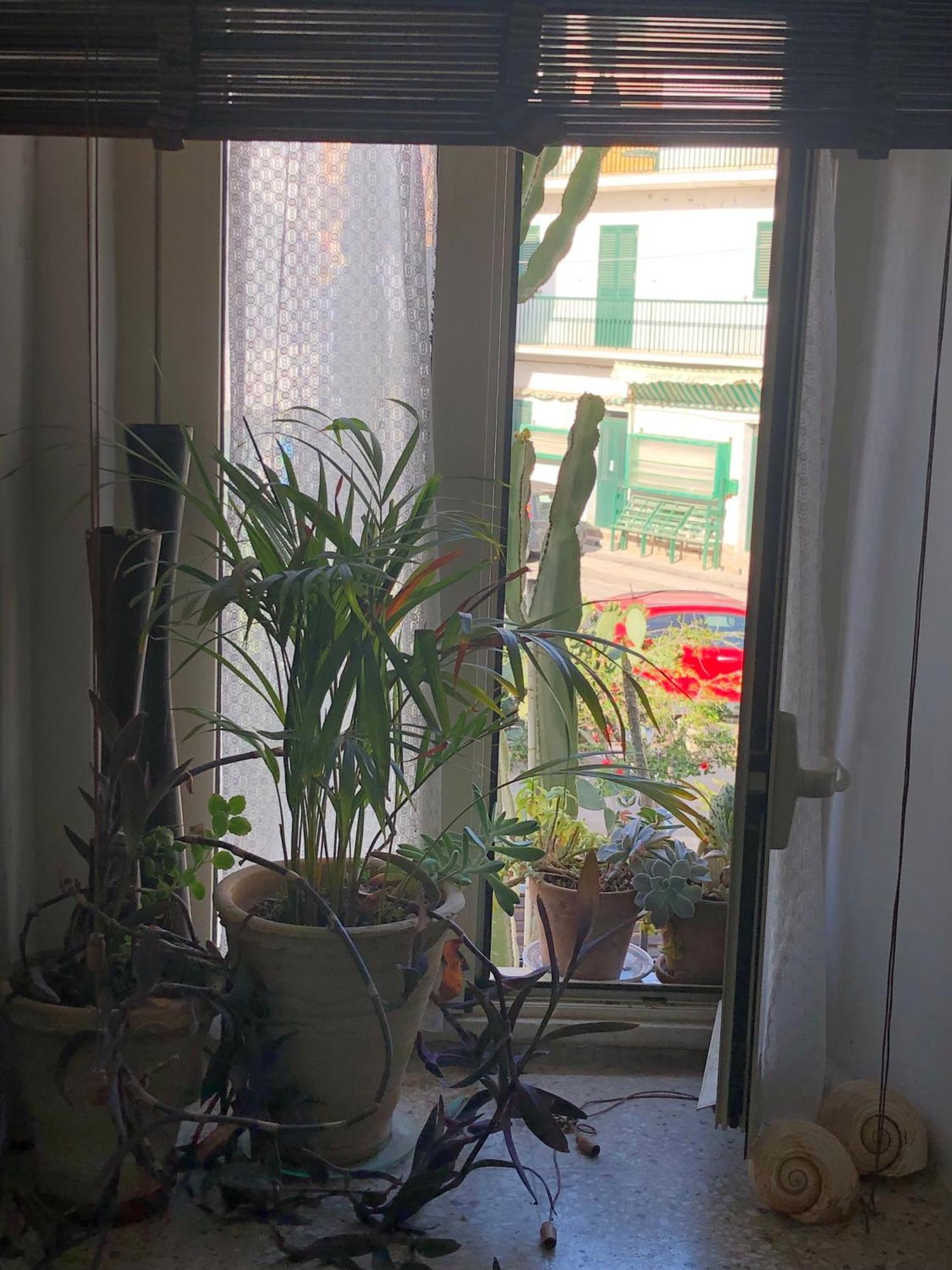 Le Muse Casa Vacanze 斯哥利提 客房 照片
